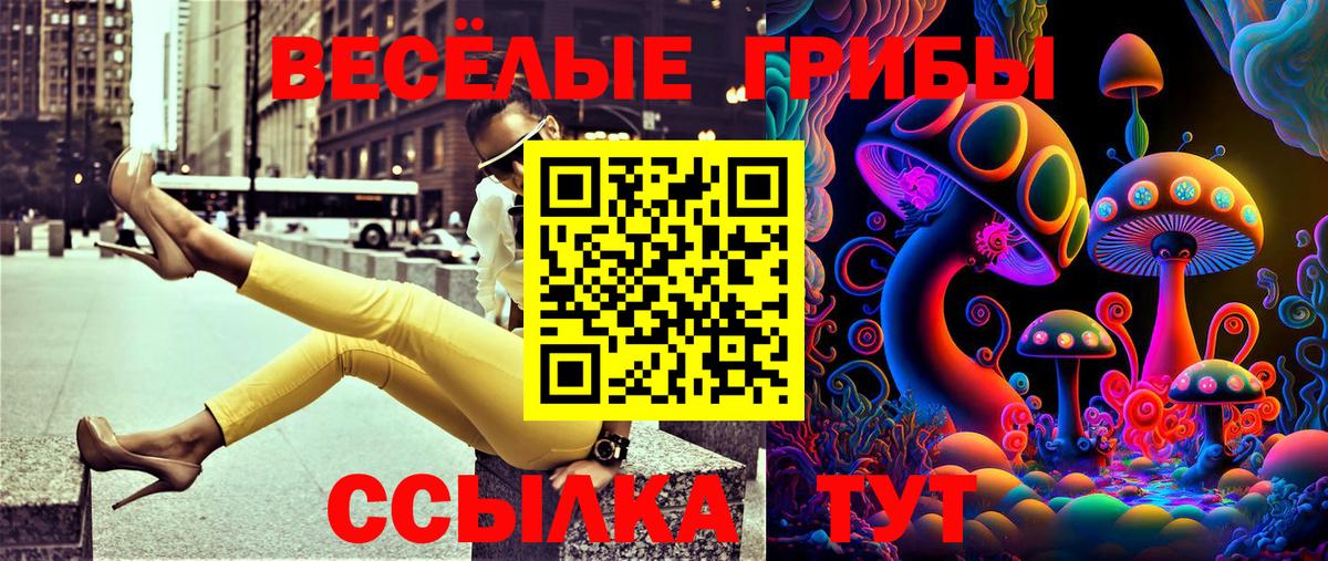 Псилоцибиновые грибы Psilocybine cubensis  Вход с VPN  Выборг 